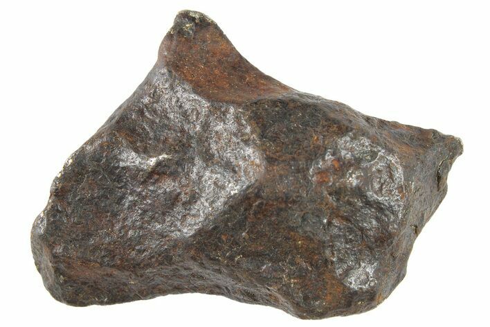 Canyon Diablo Iron Meteorite ( g) - Arizona #262850